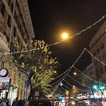 Gracchi Roma